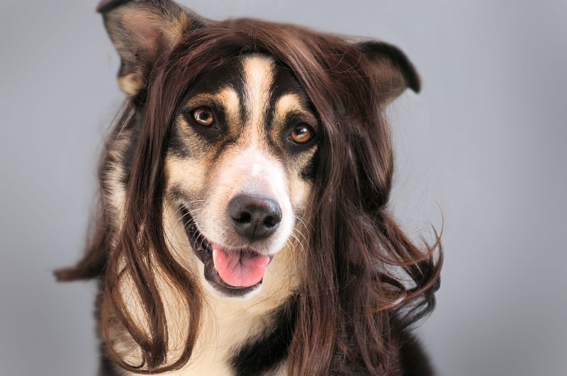 salon-coiffure-LE TIGNET-min_dog-1776721